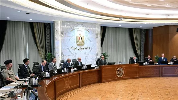 تخطط الحكومة لوضع برنامج تنفيذي لتطوير نظام مراقبة الأسعار في مصر. 1 164