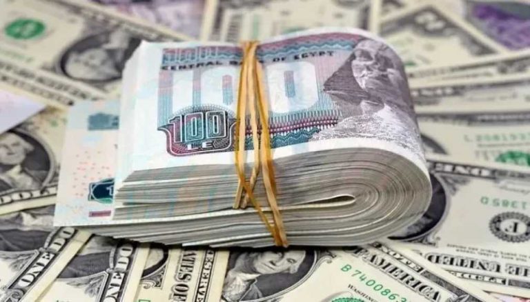 الأخضر بكام.. سعر الدولار مقابل الجنيه المصري اليوم الإثنين 25 مايو 2026 في جميع البنوك
