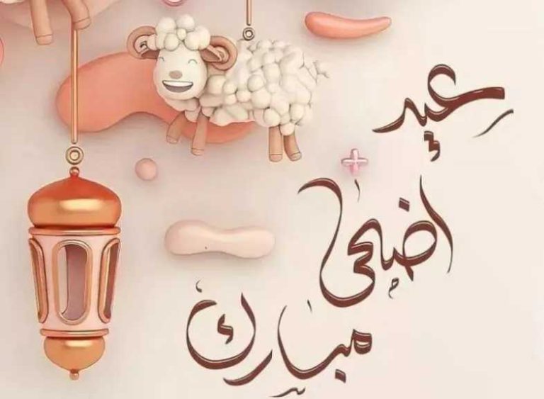 أجمل رسائل تهنئة عيد الأضحى المبارك 2026 للأهل والأحباب والأصدقاء عبر واتساب وفيسبوك