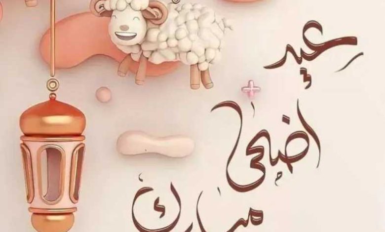 أجمل رسائل تهنئة عيد الأضحى المبارك 2026 للأهل والأحباب والأصدقاء عبر واتساب وفيسبوك 14 أجمل رسائل تهنئة عيد الأضحى المبارك 2026 للأهل والأحباب والأصدقاء عبر واتساب وفيسبوك