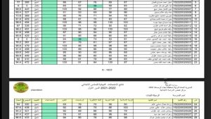 رابط مفعل.. رابط نتائج السادس الابتدائي العراق 2026 عبر موقع نتائجنا ووزارة التربية بالاسم في عموم المحافظات
