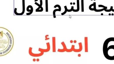 نتيجتك الآن.. رابط نتيجة الصف السادس الابتدائي 2026 محافظة الجيزة برقم الجلوس