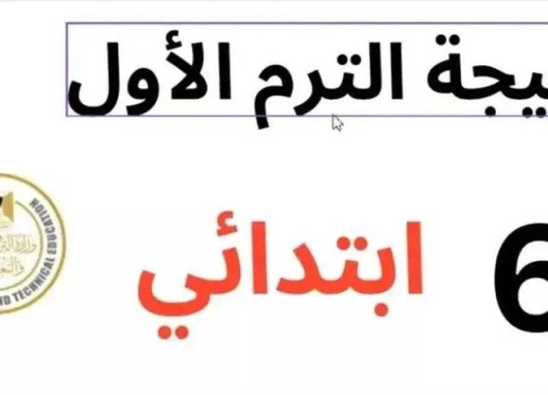 نتيجتك الآن.. رابط نتيجة الصف السادس الابتدائي 2026 محافظة الجيزة برقم الجلوس