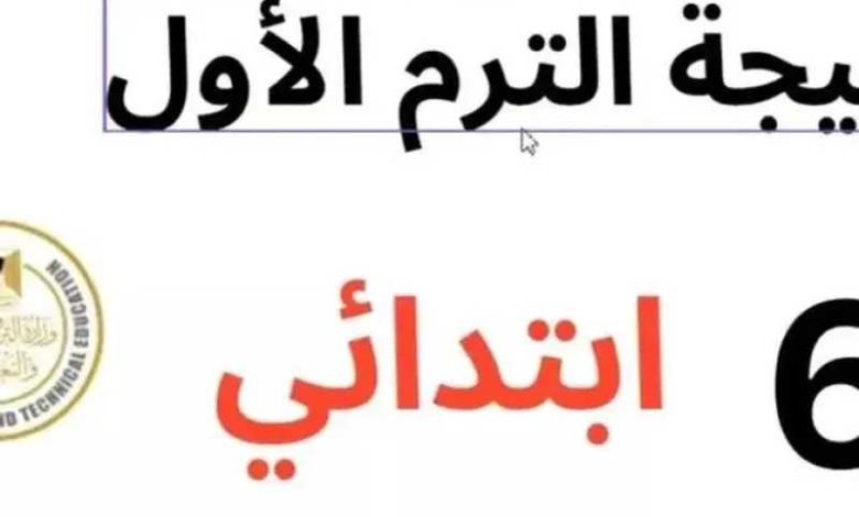 نتيجتك الآن.. رابط نتيجة الصف السادس الابتدائي 2026 محافظة الجيزة برقم الجلوس 1 نتيجتك الآن.. رابط نتيجة الصف السادس الابتدائي 2026 محافظة الجيزة برقم الجلوس