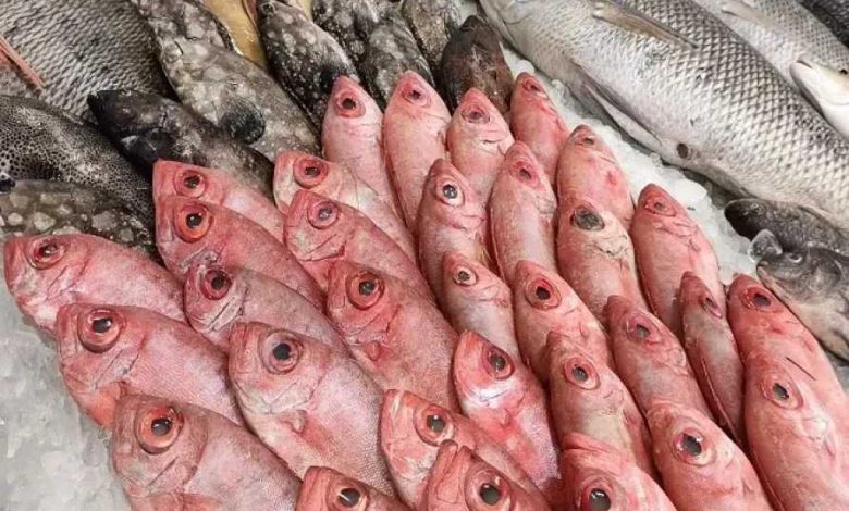 متوسط أسعار السمك اليوم في مصر والبلطي والجمبري والسبيط وفق آخر تحديث للأسواق 1 متوسط أسعار السمك اليوم في مصر والبلطي والجمبري والسبيط وفق آخر تحديث للأسواق