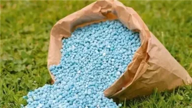 تسعى الحكومة إلى تعظيم أرباح شركات الأسمدة، وزيادة معدلات التصدير 6 629