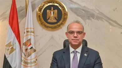 انتظام العمل بالمنافذ الجمركية من ثاني أيام عيد الأضحى 4 815