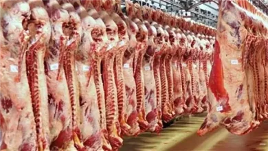 "الأمن الغذائي" يكثف الحملات الرقابية على الملاحم ومحلات بيع اللحوم 6 854