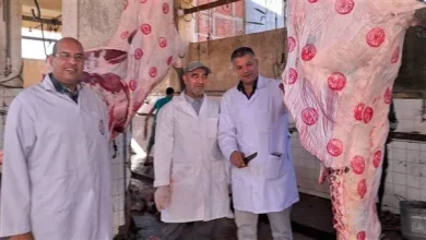 «الزراعة»: استمرار رفع مستوى الاستعداد إلى أعلى المستويات خلال أول أيام عيد الأضحى 5 889