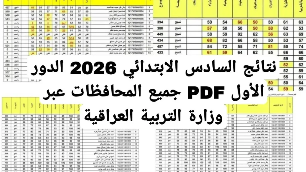 شوكت الآن.. رابط نتائج السادس الابتدائي 2026 الدور الأول عبر موقع نتائجنا بالرقم الأمتحاني