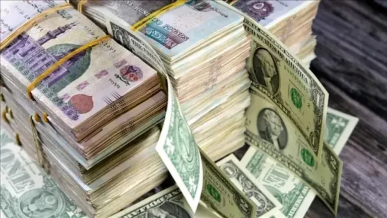 سعر الدولار والعملات اليوم السبت 30 مايو 2026 أمام الجنيه المصري في البنك المركزي