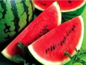 علامات اختيار البطيخ الأحمر الحلو والمستوي من الخارج قبل شرائه في الصيف دون الحاجة إلى فتحه