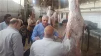 الزراعة 7681 ضحية مجازر حكومية في ثالث أيام عيد الأضحى