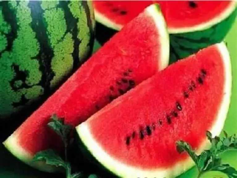علامات اختيار البطيخ الأحمر الحلو والمستوي من الخارج قبل شرائه في الصيف دون الحاجة إلى فتحه 1 علامات اختيار البطيخ الأحمر الحلو والمستوي من الخارج قبل شرائه