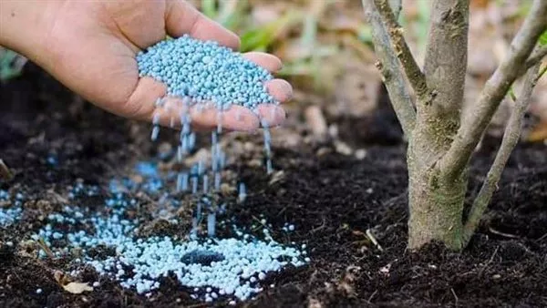 وزارة الزراعة تكشف حقيقة إلغاء دعم الأسمدة