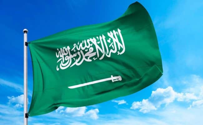 السعودية: يجب تعزيز التعاون الدولي لمكافحة الاتجار غير المشروع بالأسلحة